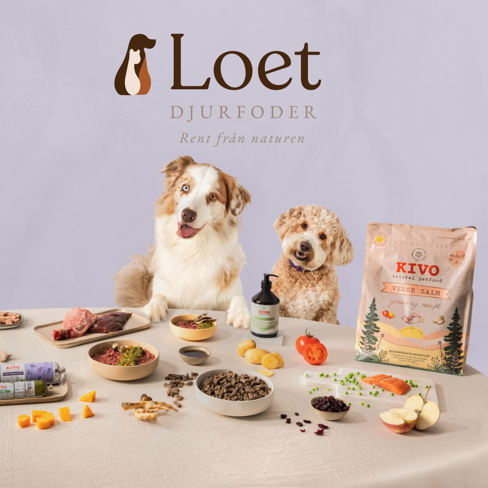 Lorem ipsum